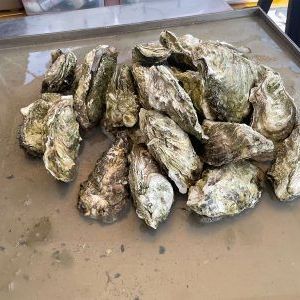岩手三陸かき酒場