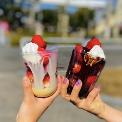 とろける苺ショコラ