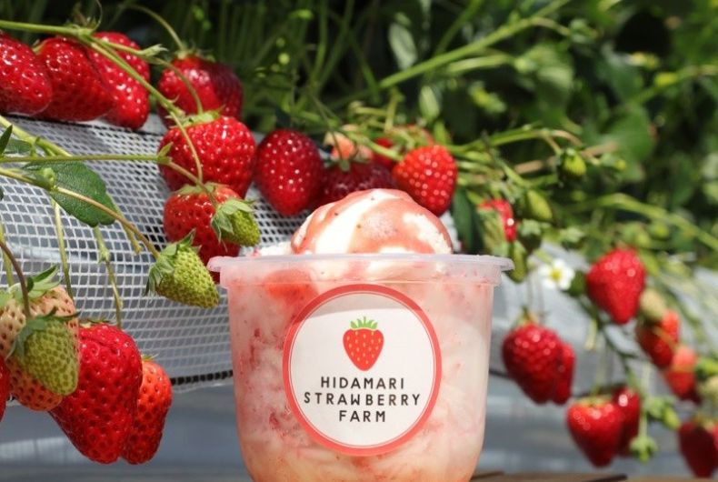 HIDAMARI STRAWBERRY FARM