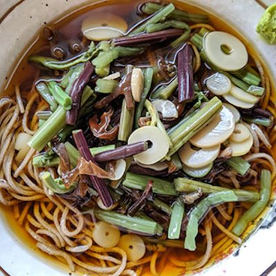 【5月24日(土)限定】たてしな自由農園