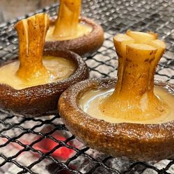 八色しいたけ炭火焼き（1ケ）