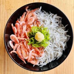 桜海老とシラスの2色丼