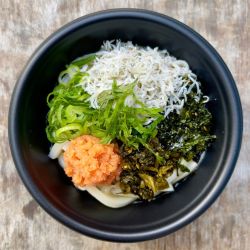 釜揚げしらすと高菜、明太子の冷やしうどん