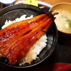 うな重