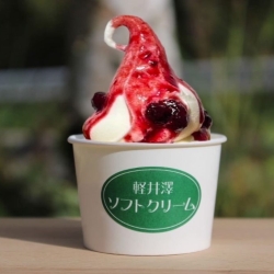 おばあちゃんのブルーベリー