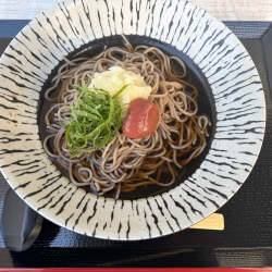 揚げなすとキノコのそば