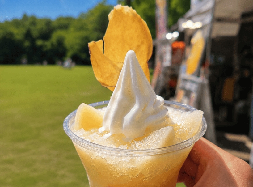 山形のGARI氷ソフト(もも)