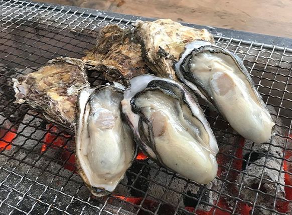 能登産焼きかき