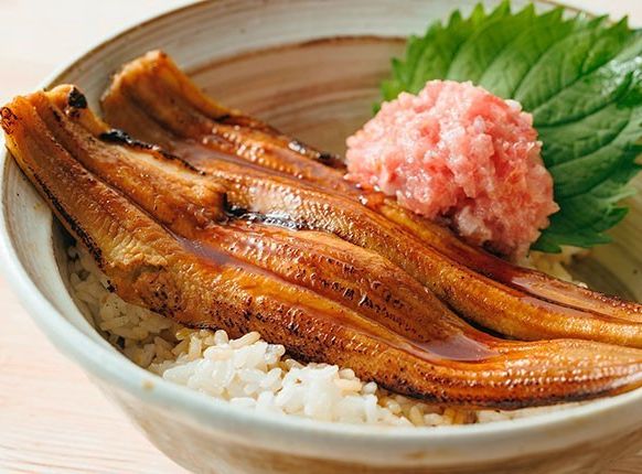 いわきのアナゴとネギトロ丼