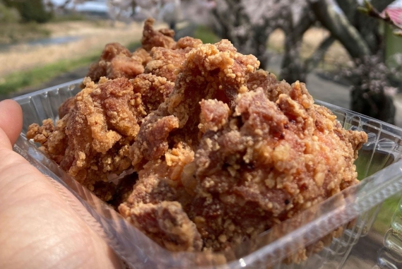 たまげた家