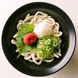 めんたい温玉うどん