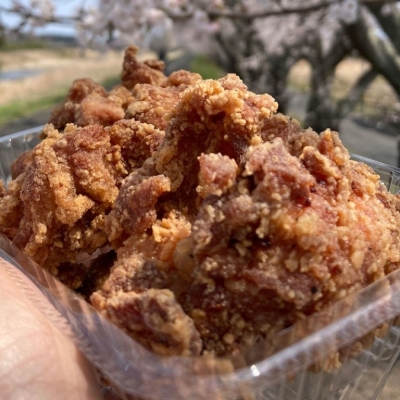たまげた家