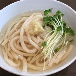 冷/温出汁かけうどん