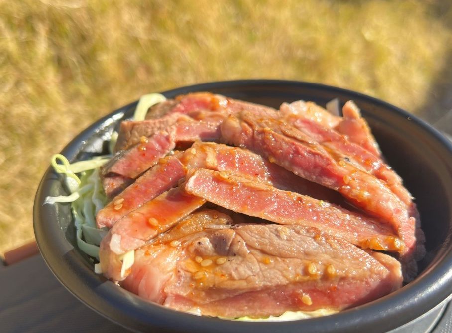 熟成肉ステーキ丼(おすすめ)