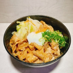 旨ダレ豚丼(温玉付)