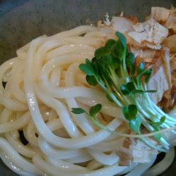 冷/温ぶっかけうどん（生醤油・梅味）