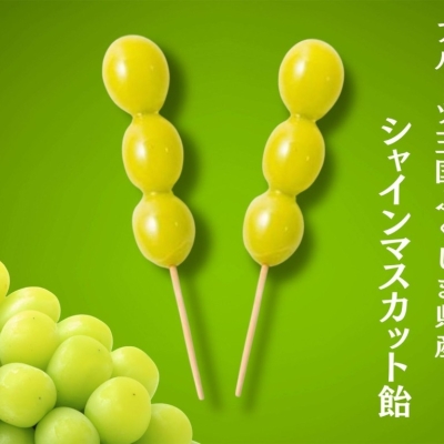 FUKUSHIMA SHINE