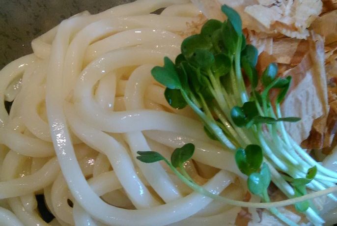 讃岐ぶっかけうどん