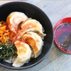 自家製焼餃子丼セット