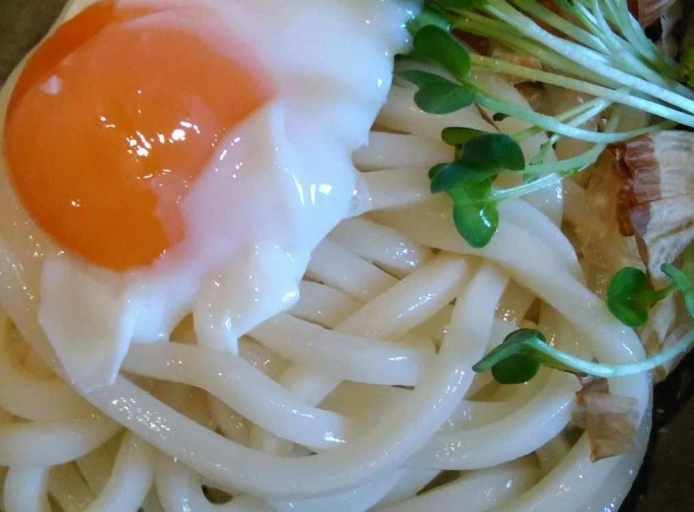 冷/温釜玉うどん