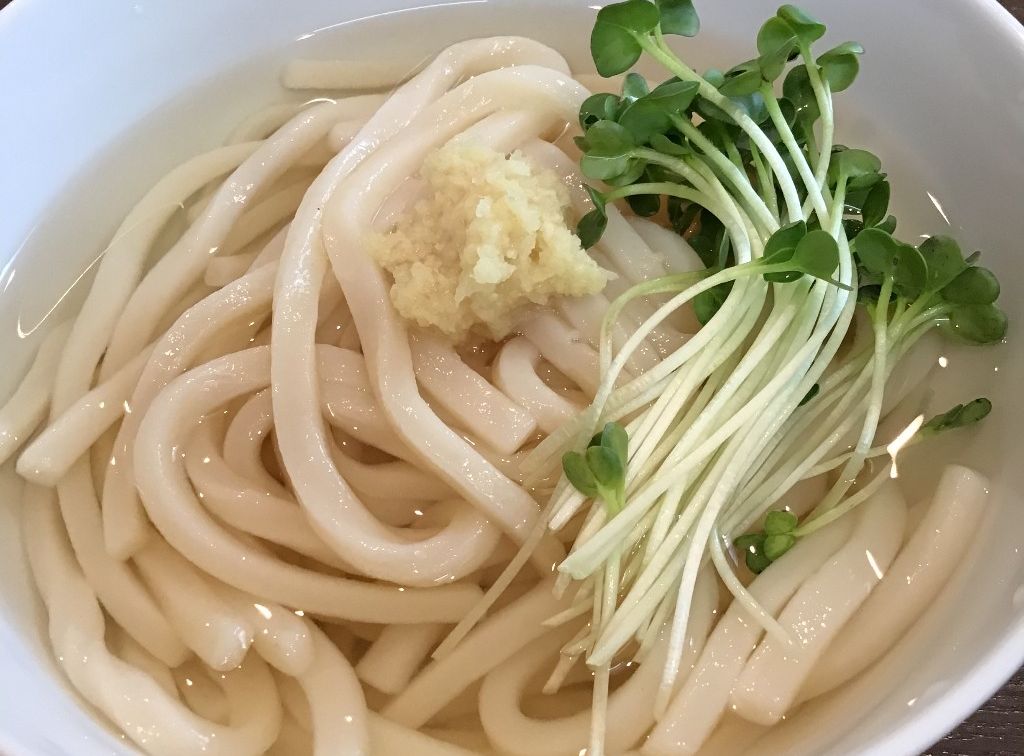 冷/温出汁かけうどん