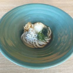 しらすとおろしの冷やしぶっかけのおうどん