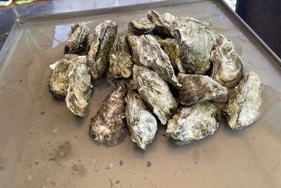 岩手三陸かき酒場