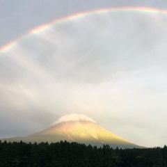 ハートランド・朝霧