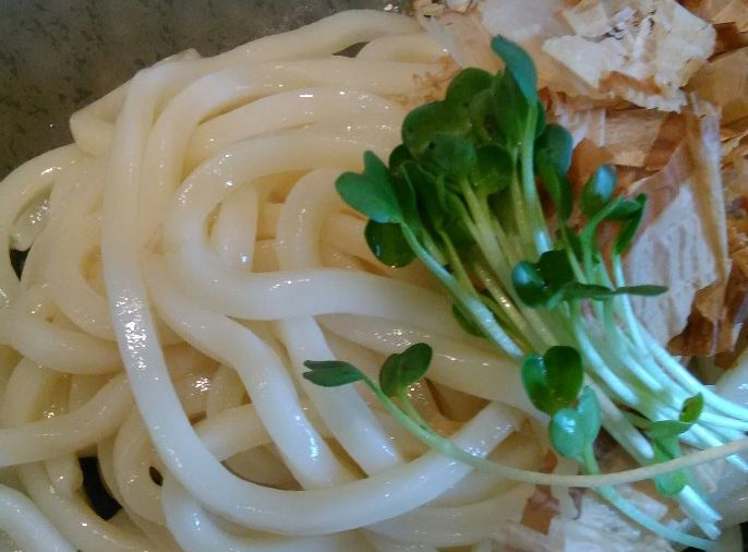 冷/温ぶっかけうどん（生醤油・梅味）