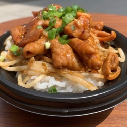 千葉ホルモンマニア丼