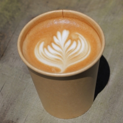 スペシャルティコーヒー 各種