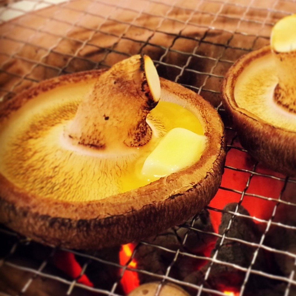 想いの茸 -OMOINOTAKE-